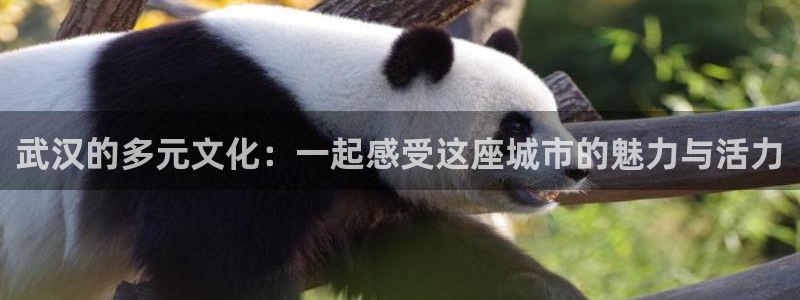恒行5娱乐：武汉的多元文化：一起感受这座城市的魅力与活力