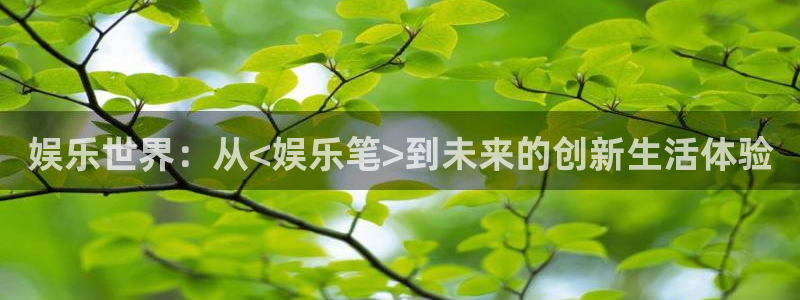 恒行5：娱乐世界：从<娱乐笔>到未来的创新生活体验