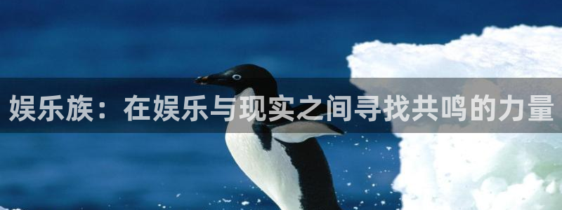 恒行5官网k88v店cc安全：娱乐族：在娱乐与现实之间寻找共鸣的力量