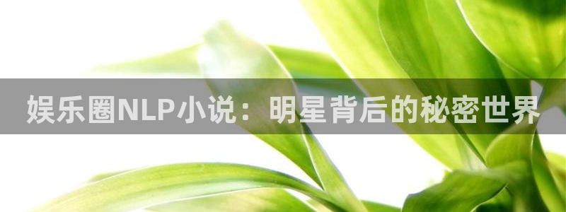 恒行5官网k88v店cc安全：娱乐圈NLP小说：明星背后的秘密世界