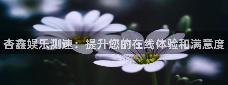 恒行5官网k88v店cc安全：杏鑫娱乐测速：提升您的在线体验和满意度