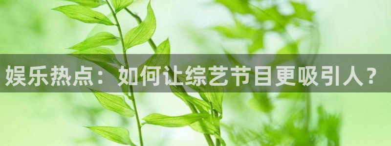 恒行5官网体验k88v典cc：娱乐热点：如何让综艺节目更吸引人？