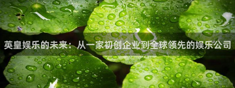 恒行5娱乐：英皇娱乐的未来：从一家初创企业到全球领先的娱乐公司
