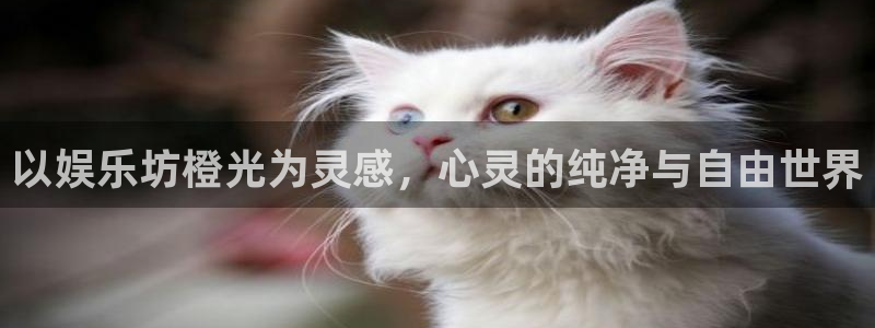 恒行5官网体验k88v典cc：以娱乐坊橙光为灵感，心灵的纯净与自由世界
